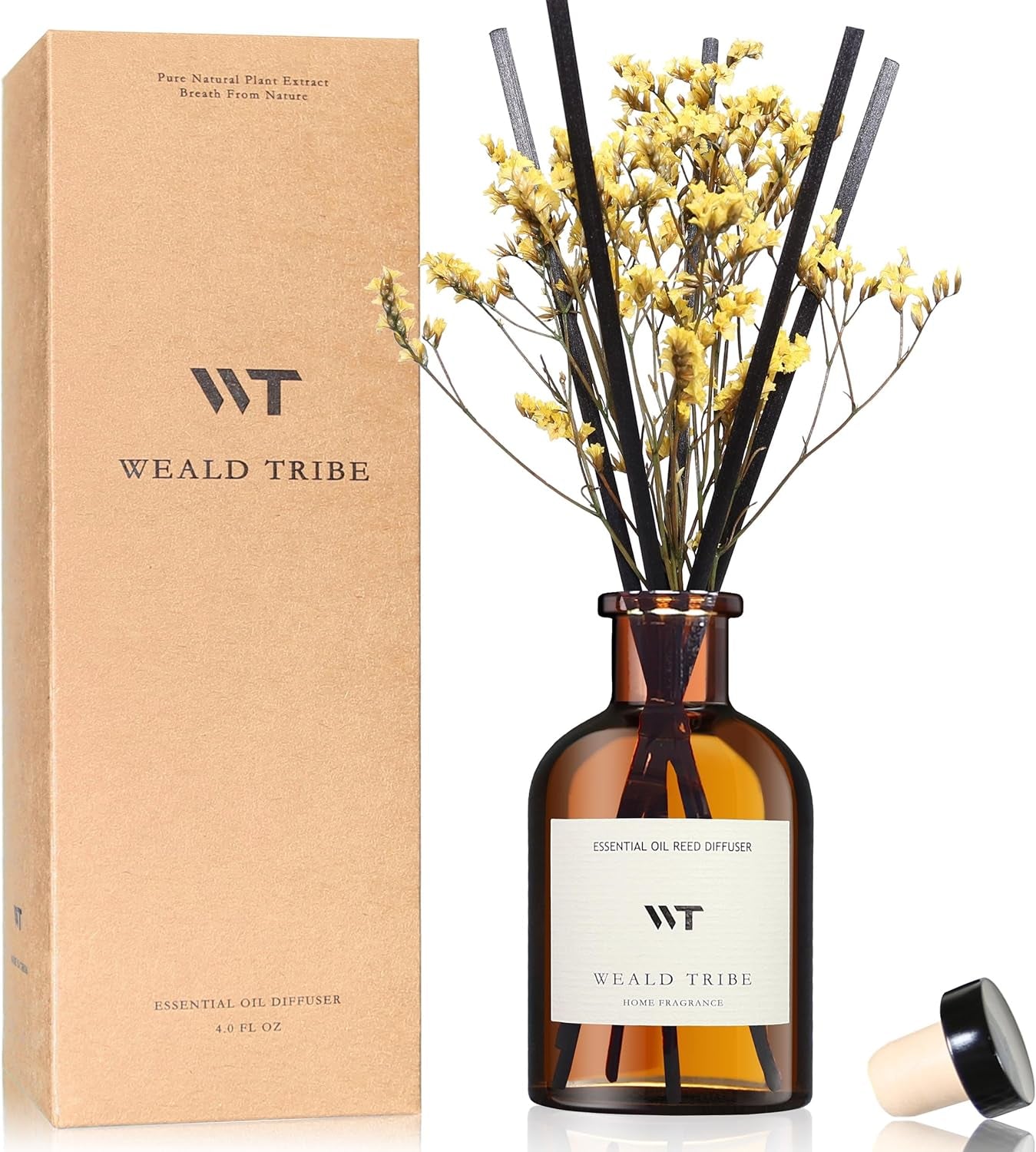 Reed Diffuser Set for Bathroom Air Fresheners, Oil Diffuser Sticks with Flower | Balsam Fir Scent 4.0 Fl Oz Home Fragrance with Sticks Defusers | House Bedroom Office Shelf Decor
