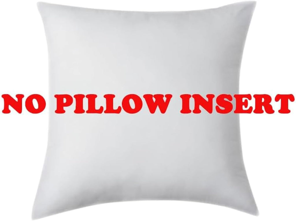 Set of 2 Boho Black Decorative Throw Pillow Cover 18X18 Inch for Couch Bed Sofa, Aesthetic Modern Organic Farmhouse Home Decor, Soft Cotton Cute Accent Macrame Woven Cushion Case