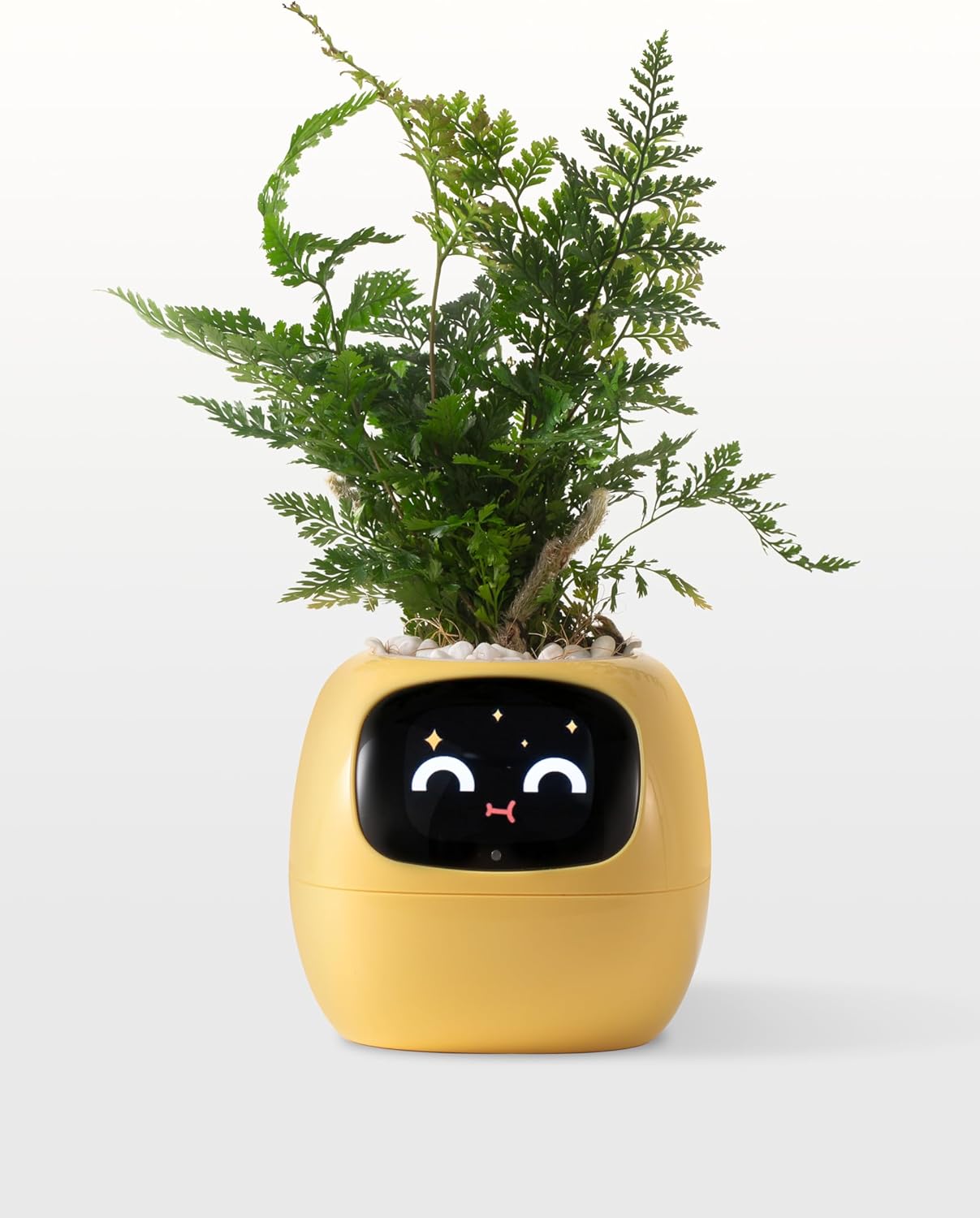 Plantagotchi AI Plant Pot with Expression - Smart Planter Robot Guidance on Plant Companion with Rich Gesture Interaction, Desk Setup Gift (White)