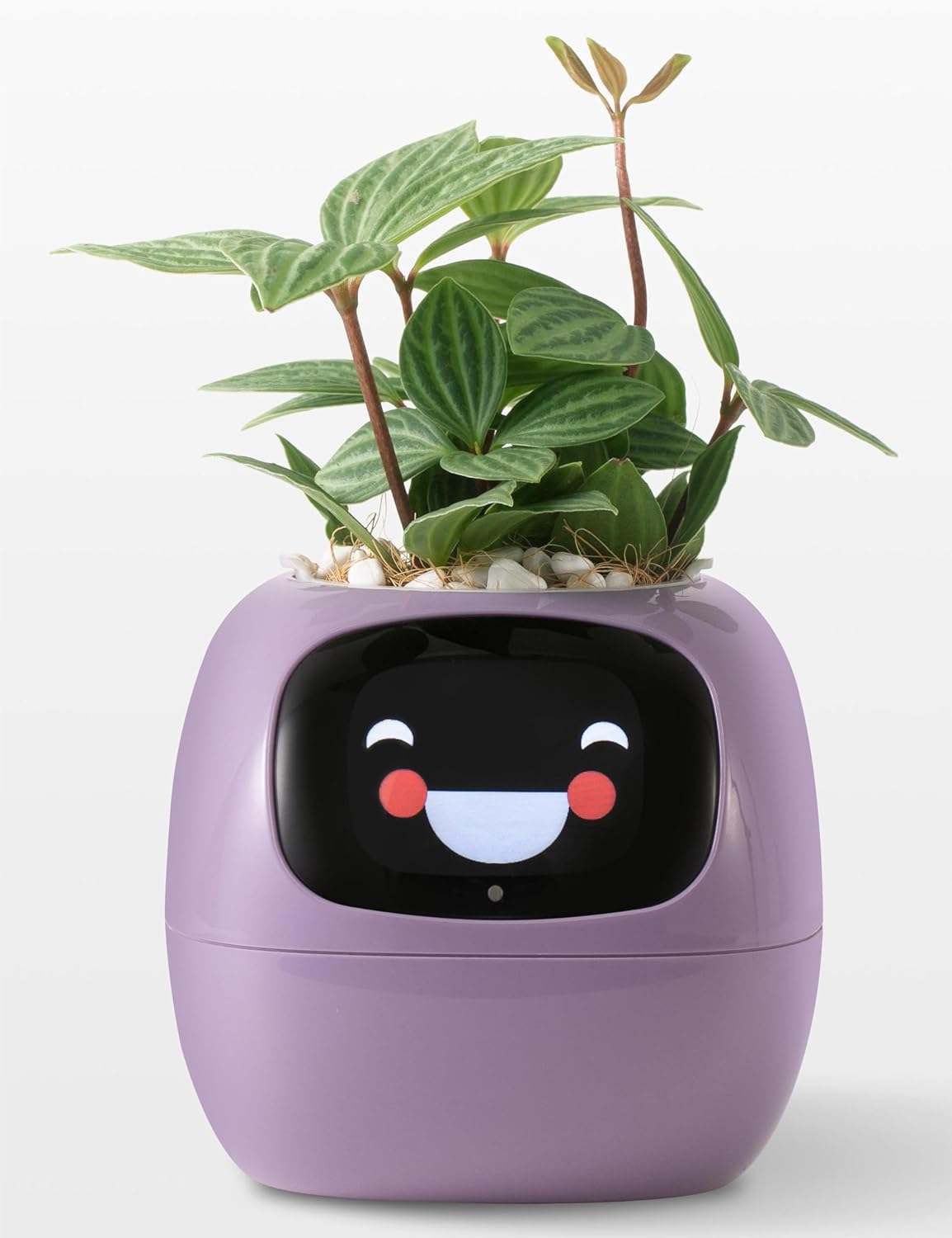 Plantagotchi AI Plant Pot with Expression - Smart Planter Robot Guidance on Plant Companion with Rich Gesture Interaction, Desk Setup Gift (White)