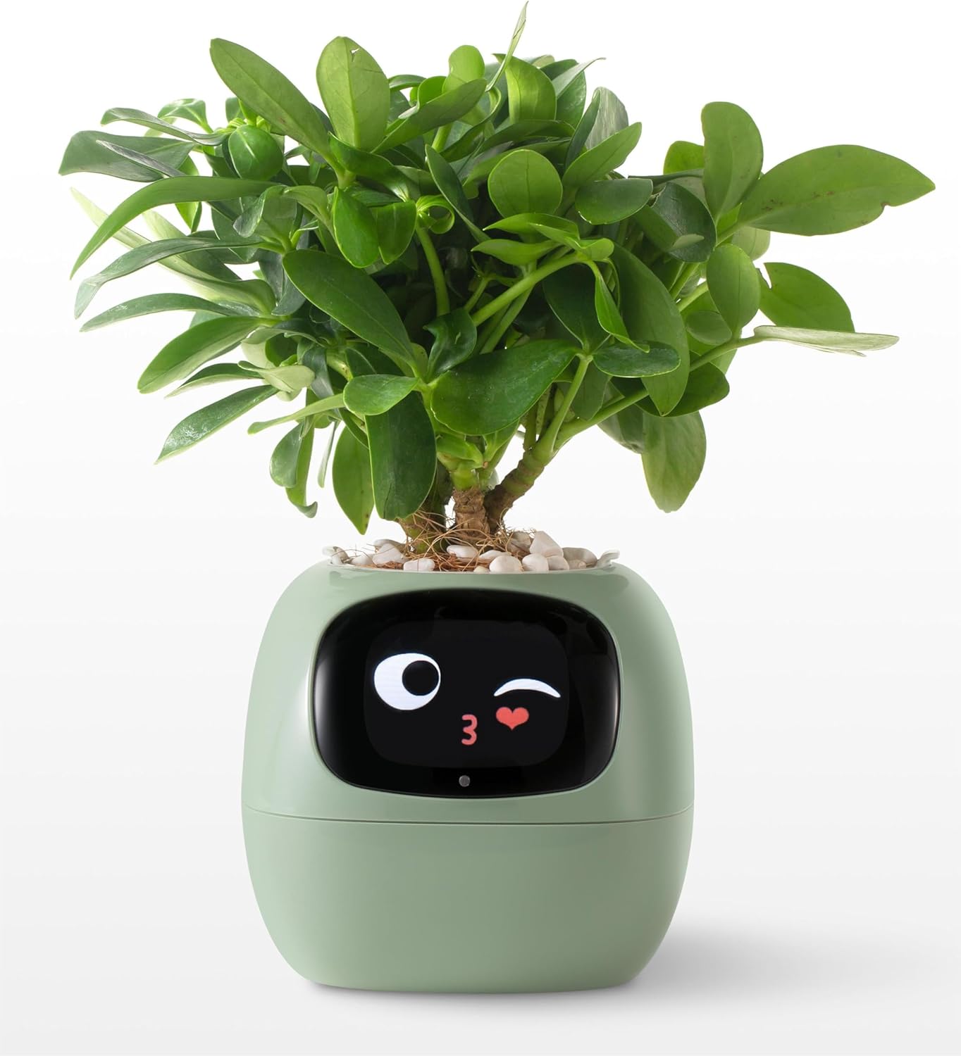 Plantagotchi AI Plant Pot with Expression - Smart Planter Robot Guidance on Plant Companion with Rich Gesture Interaction, Desk Setup Gift (White)